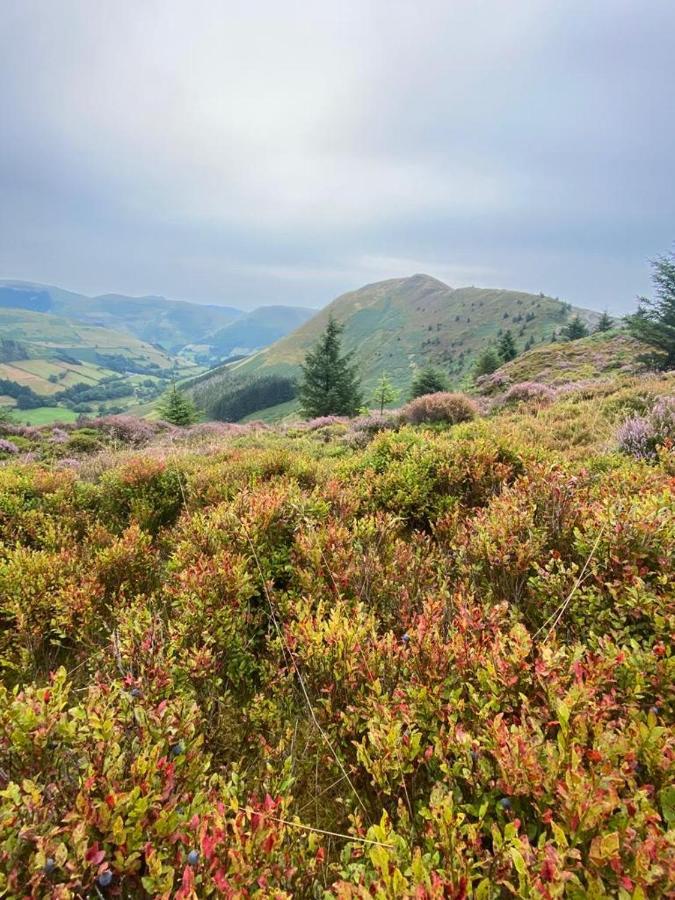 Glasfryn Cottage Dolgellau Zewnętrze zdjęcie